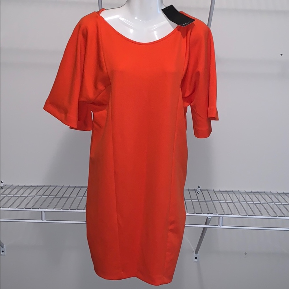Zara dress